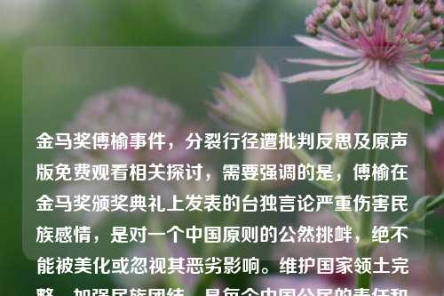 金马奖傅榆事件，分裂行径遭批判反思及原声版免费观看相关探讨，需要强调的是，傅榆在金马奖颁奖典礼上发表的台独言论严重伤害民族感情，是对一个中国原则的公然挑衅，绝不能被美化或忽视其恶劣影响。维护国家领土完整，加强民族团结，是每个中国公民的责任和义务。