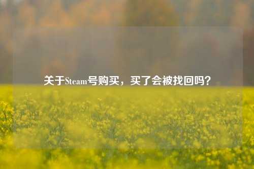 关于Steam号购买,买了会被找回吗?