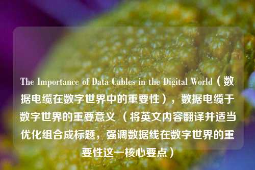 The Importance of Data Cables in the Digital World(数据电缆在数字世界中的重要性),数据电缆于数字世界的重要意义 (将英文内容翻译并适当优化组合成标题,强调数据线在数字世界的重要性这一核心要点)