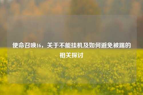 使命召唤16,关于不能挂机及如何避免被踢的相关探讨