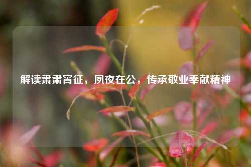 解读肃肃宵征,夙夜在公,传承敬业奉献精神