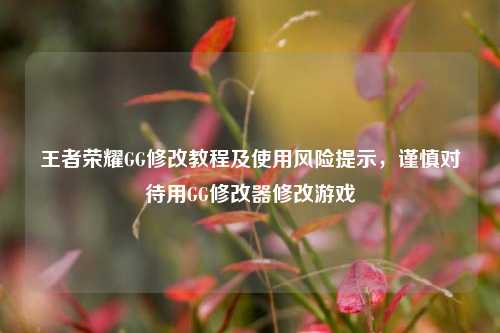 王者荣耀GG修改教程及使用风险提示,谨慎对待用GG修改器修改游戏