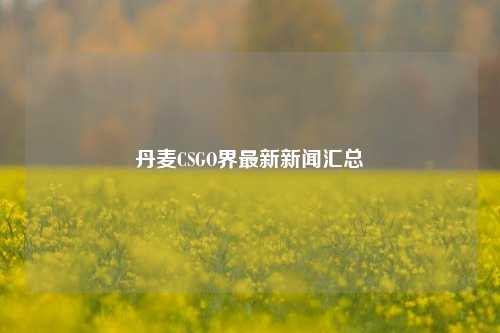丹麦CSGO界最新新闻汇总