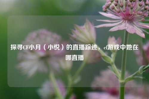 探寻CF小月(小悦)的直播踪迹,cf游戏中她在哪直播