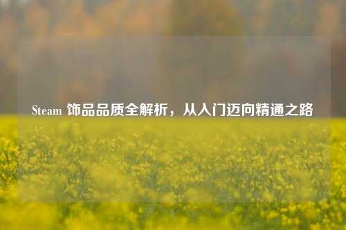 Steam 饰品品质全解析,从入门迈向精通之路