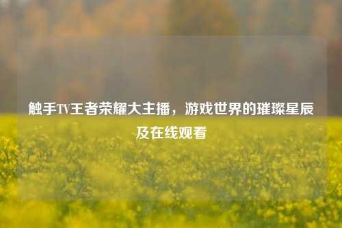触手TV王者荣耀大主播,游戏世界的璀璨星辰及在线观看