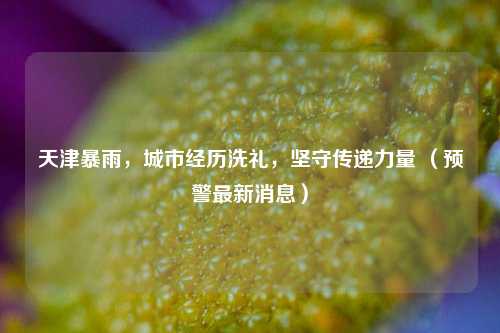 天津暴雨,城市经历洗礼,坚守传递力量 (预警最新消息)