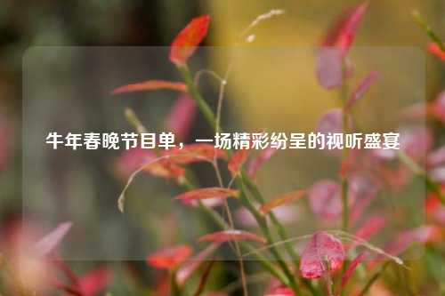 牛年春晚节目单,一场精彩纷呈的视听盛宴