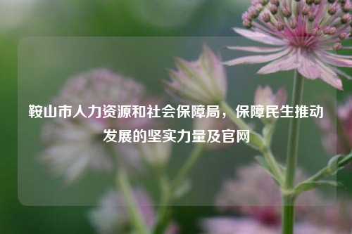 鞍山市人力资源和社会保障局，保障民生推动发展的坚实力量及官网