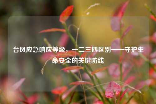 台风应急响应等级,一二三四区别——守护生命安全的关键防线
