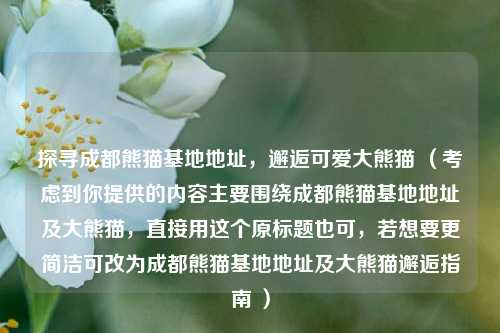 探寻成都熊猫基地地址,邂逅可爱大熊猫 (考虑到你提供的内容主要围绕成都熊猫基地地址及大熊猫,直接用这个原标题也可,若想要更简洁可改为成都熊猫基地地址及大熊猫邂逅指南 )