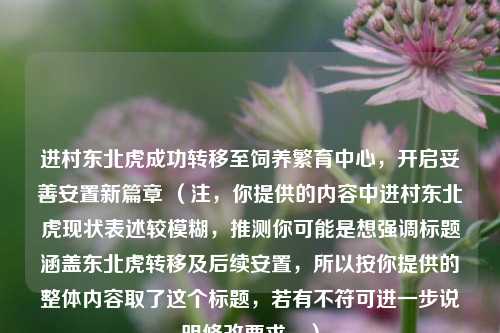 进村东北虎成功转移至饲养繁育中心,开启妥善安置新篇章 (注,你提供的内容中进村东北虎现状表述较模糊,推测你可能是想强调标题涵盖东北虎转移及后续安置,所以按你提供的整体内容取了这个标题,若有不符可进一步说明修改要求。)