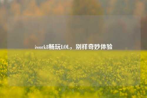 iwork8畅玩LOL,别样奇妙体验