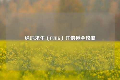 绝地求生(PUBG)开倍镜全攻略