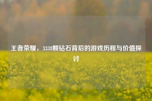 王者荣耀,3338颗钻石背后的游戏历程与价值探讨