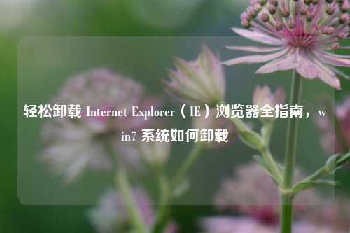 轻松卸载 Internet Explorer(IE)浏览器全指南,win7 系统如何卸载