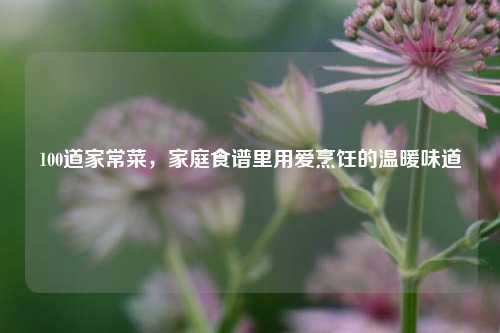 100道家常菜,家庭食谱里用爱烹饪的温暖味道