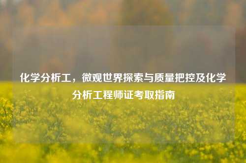 化学分析工,微观世界探索与质量把控及化学分析工程师证考取指南