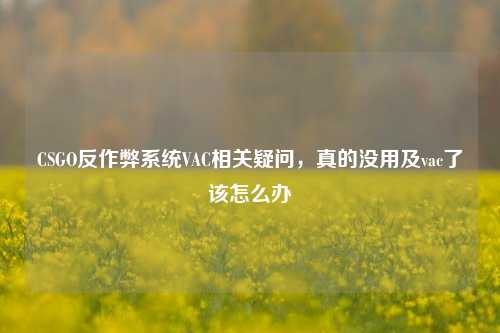 CSGO反作弊系统VAC相关疑问,真的没用及vac了该怎么办