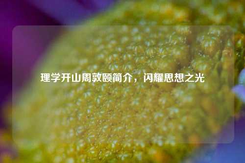 理学开山周敦颐简介,闪耀思想之光