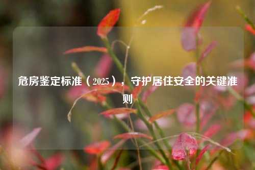 危房鉴定标准（2025），守护居住安全的关键准则