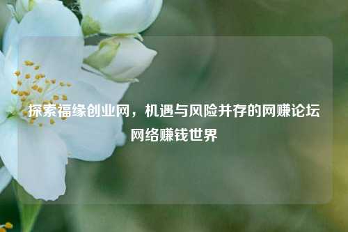 探索福缘创业网,机遇与风险并存的网赚论坛网络赚钱世界