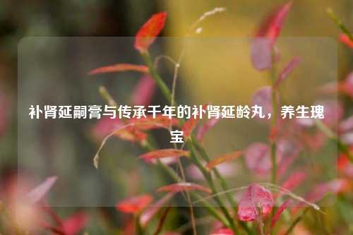 补肾延嗣膏与传承千年的补肾延龄丸,养生瑰宝