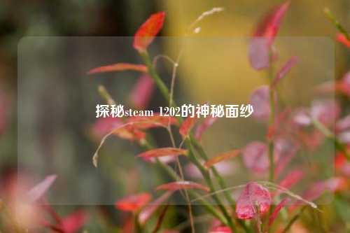 探秘steam 1202的神秘面纱