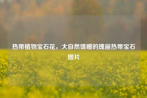 热带植物宝石花,大自然馈赠的瑰丽热带宝石图片