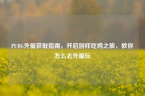 PUBG外服获取指南,开启别样吃鸡之旅,教你怎么去外服玩