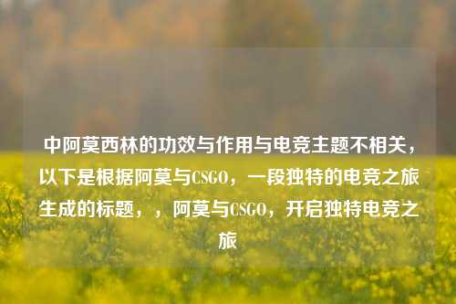 中阿莫西林的功效与作用与电竞主题不相关,以下是根据阿莫与CSGO,一段独特的电竞之旅生成的标题,,阿莫与CSGO,开启独特电竞之旅