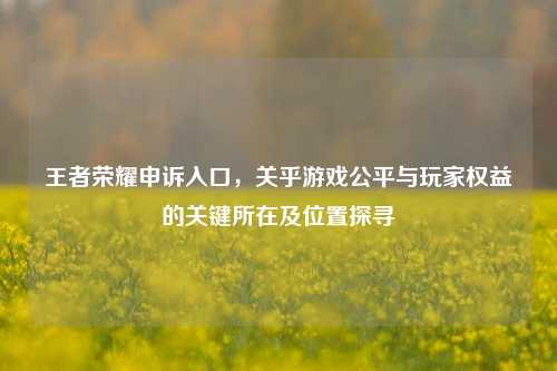 王者荣耀申诉入口,关乎游戏公平与玩家权益的关键所在及位置探寻