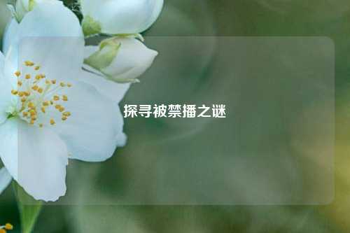探寻被禁播之谜