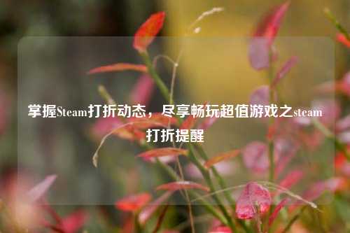 掌握Steam打折动态，尽享畅玩超值游戏之steam打折提醒