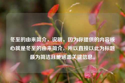 冬至的由来简介，说明，因为你提供的内容核心就是冬至的由来简介，所以直接以此为标题最为简洁且能涵盖关键信息。