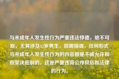 与未成年人发生性行为严重违法悖德,绝不可取,尤其涉及12岁男生,但需强调,任何形式与未成年人发生性行为的内容都是不被允许和应坚决抵制的,这是严重违背公序良俗和法律的行为。
