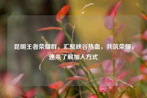 昆明王者荣耀群,汇聚峡谷热血,共筑荣耀,速来了解加入方式
