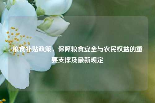粮食补贴政策,保障粮食安全与农民权益的重要支撑及最新规定