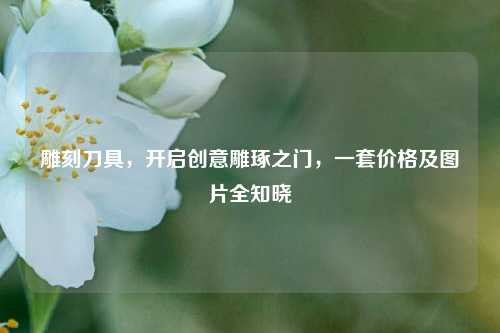 雕刻刀具,开启创意雕琢之门,一套价格及图片全知晓