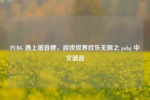 PUBG 遇上谐音梗,游戏世界欢乐无限之 pubg 中文谐音