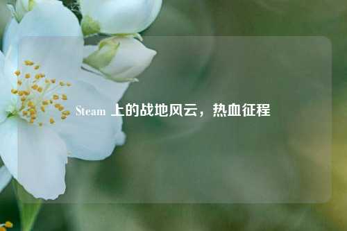Steam 上的战地风云,热血征程