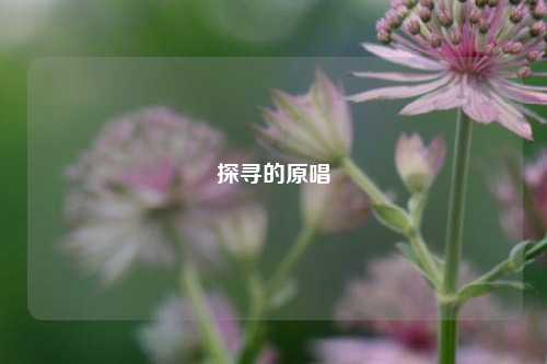 探寻的原唱