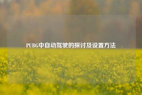 PUBG中自动驾驶的探讨及设置方法