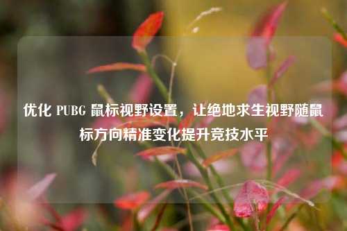 优化 PUBG 鼠标视野设置，让绝地求生视野随鼠标方向精准变化提升竞技水平