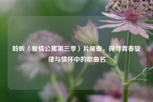 聆听〈爱情公寓第三季〉片尾曲,探寻青春旋律与情怀中的歌曲名