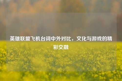 英雄联盟飞机台词中外对比,文化与游戏的精彩交融