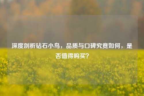 深度剖析钻石小鸟,品质与口碑究竟如何,是否值得购买?