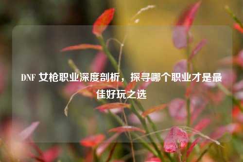 DNF 女枪职业深度剖析，探寻哪个职业才是最佳好玩之选