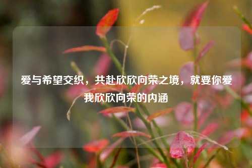 爱与希望交织,共赴欣欣向荣之境,就要你爱我欣欣向荣的内涵