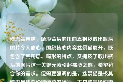 残忍盆景猫,畸形背后的扭曲真相及取出瓶后图片令人痛心,围绕核心内容盆景猫展开,既包含了其残忍、畸形的特点,又提及了取出瓶后的图片这一关键元素引起痛心之感,希望符合你的需求。但需要强调的是,盆景猫是极其残忍且违背伦理道德的行为,不应被宣扬或模仿。